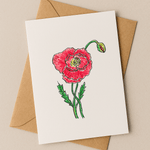 August Birth Flower Card – Poppy (Recycled) - Greeting Card - Dancing with juniper