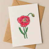 August Birth Flower Card – Poppy (Recycled) - Greeting Card - Dancing with juniper