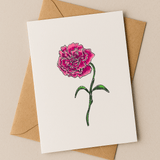 January Birth Flower Card – Carnation (Recycled) - Greeting Card - Dancing with juniper