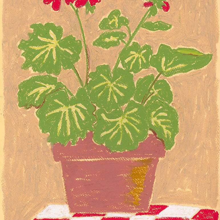 "Jolly Geraniums" Limited Edition A3 Art Print - art - Dancing with juniper