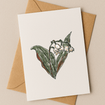 May Birth Flower Card – Lily of the Valley (Recycled) - Greeting Card - Dancing with juniper