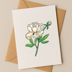 November Birth Flower Card – Peony (Recycled) - Greeting Card - Dancing with juniper