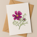 October Birth Flower Card – Cosmos (Recycled) - Greeting Card - Dancing with juniper